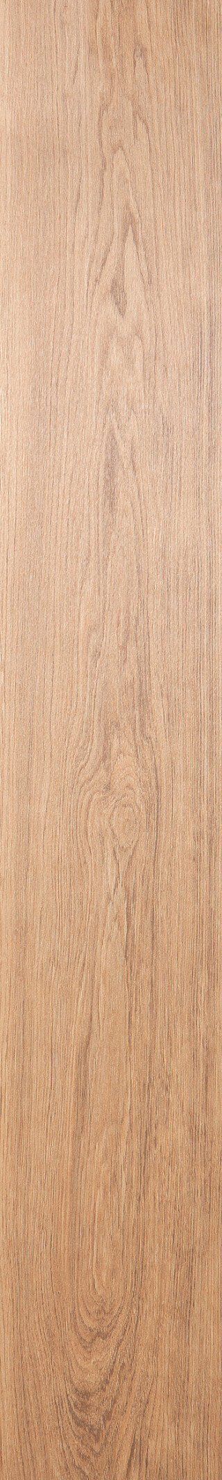 Classic nature Oak