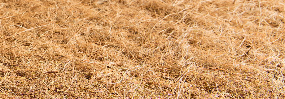 Isolation de coco