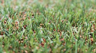 kunstgras foto1