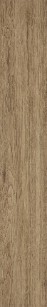 Mocca Oak