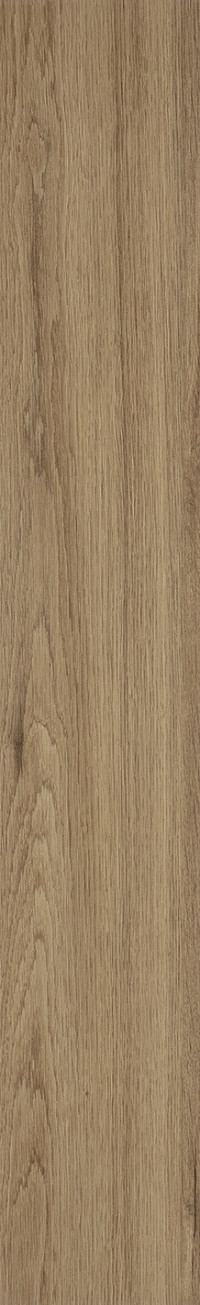 Mocca Oak
