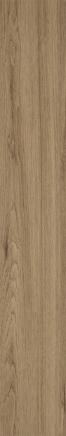 Mocca Oak