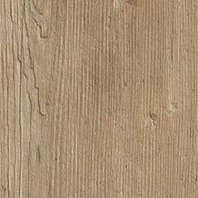 Mountain Oak