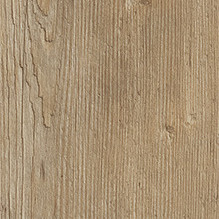 Mountain oak