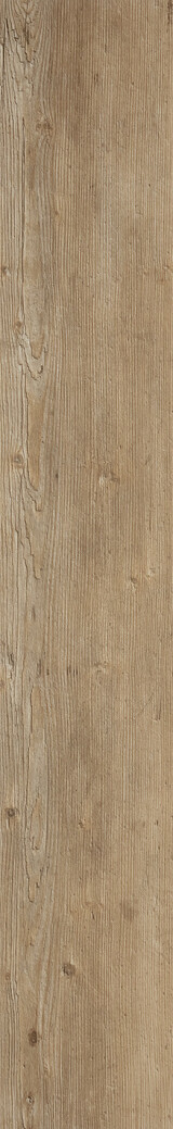 Mountain Oak