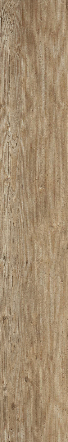 Mountain Oak