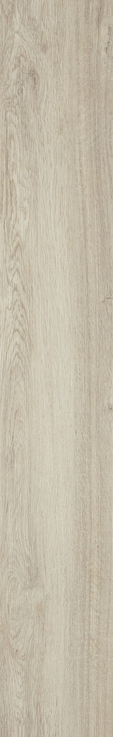 Ocean Oak