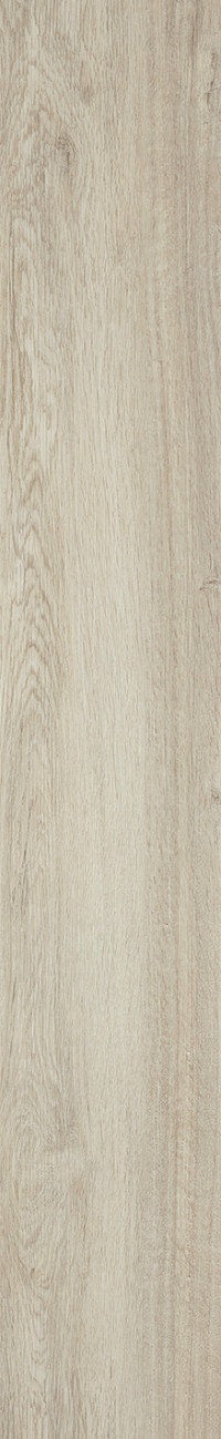 Ocean Oak