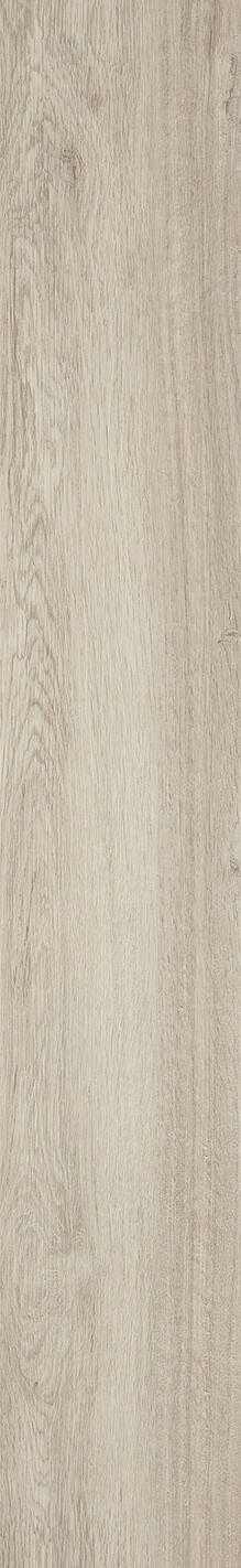 Ocean Oak
