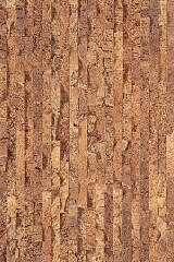Pietra rustic