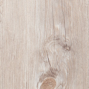 Alaska Oak