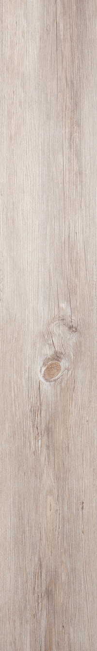 Alaska Oak