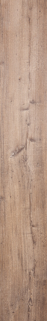 Arcadian Rye Pine