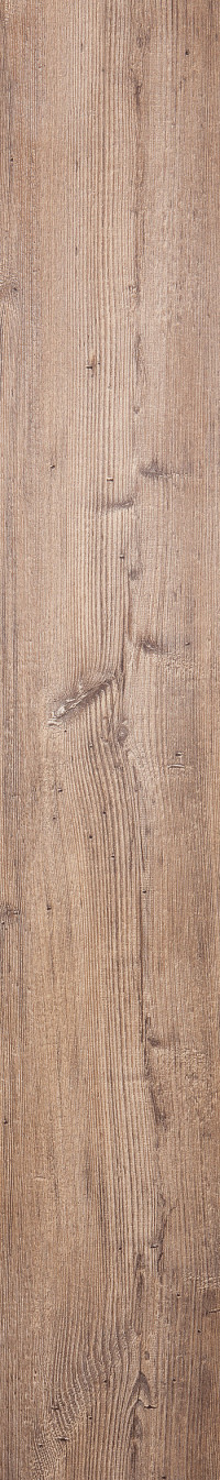 Arcadian Rye Pine