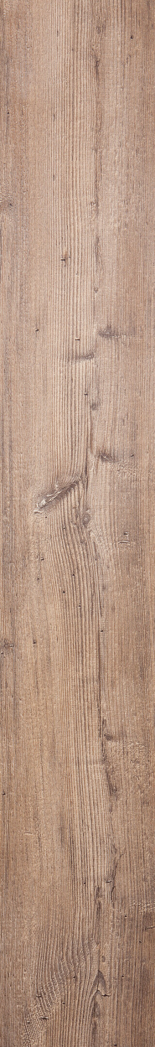 Arcadian Rye Pine