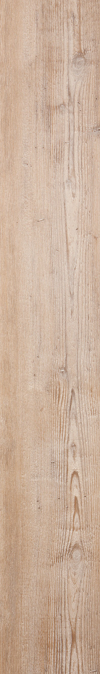 Arcadian Soya Pine