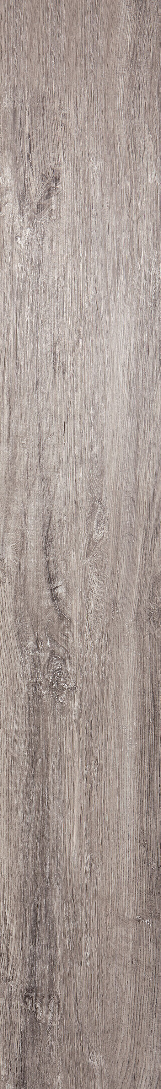 Brume Oak