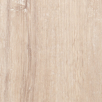 Chalk Oak
