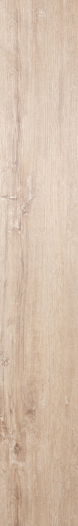 Chalk Oak