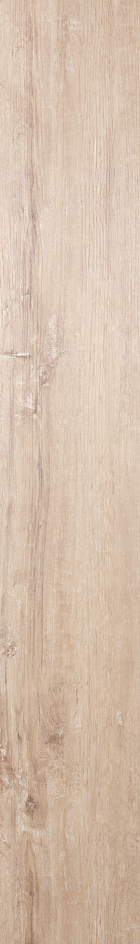 Chalk Oak