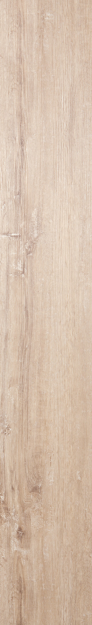 Chalk Oak