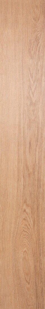 Nature Oak