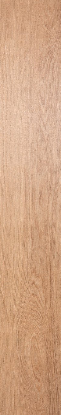 Nature Oak