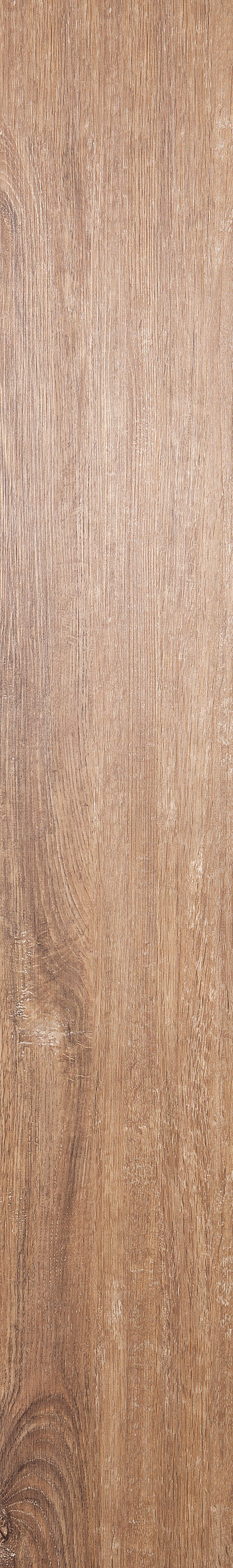 Provence Oak