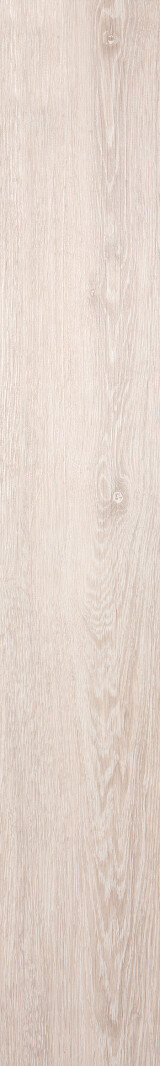 Sand Oak