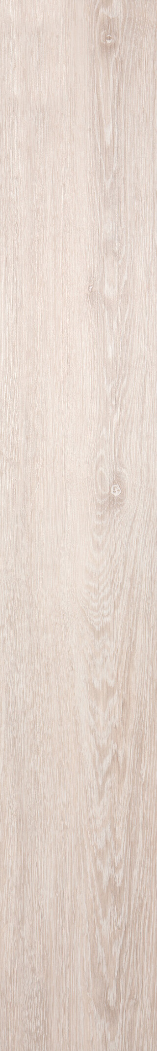 Sand Oak