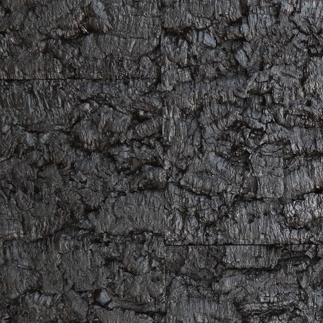 Virgem Black