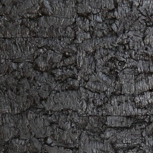 Virgem Black