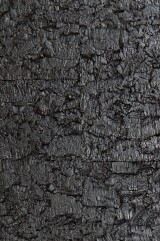 Virgem Black