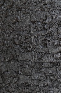 Virgem Black