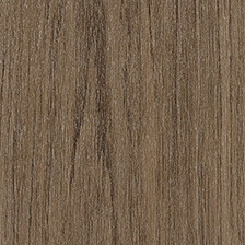 Elegant Oak
