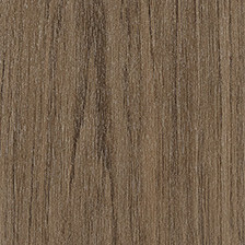 Elegant Oak