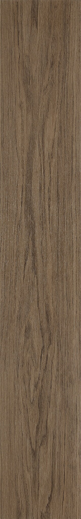 Elegant Oak