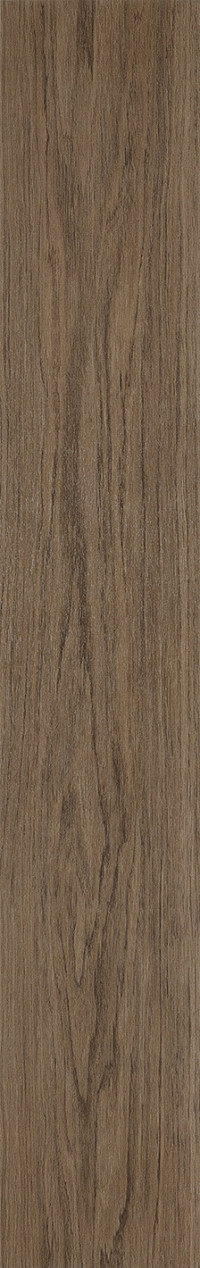 Elegant Oak