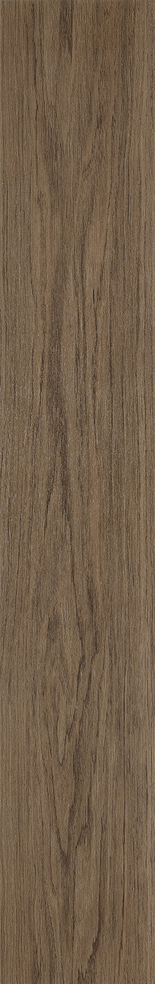 Elegant Oak