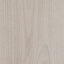 Arcadian Artic Pine